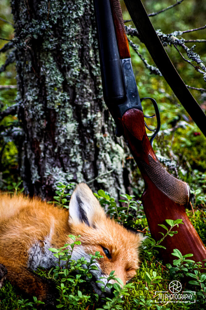 Metsästys | Kempeleen metsästys- ja kennelyhdistys